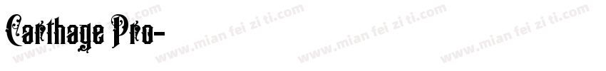 Carthage Pro字体转换